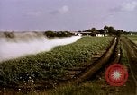 Standbild Landwirtschaft United States USA, 1956, aus Sekunde 47 historischem Filmmaterial Videoclip 65675071648