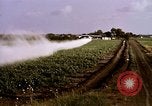 Standbild Landwirtschaft United States USA, 1956, aus Sekunde 48 historischem Filmmaterial Videoclip 65675071648