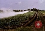 Standbild Landwirtschaft United States USA, 1956, aus Sekunde 49 historischem Filmmaterial Videoclip 65675071648