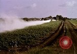 Standbild Landwirtschaft United States USA, 1956, aus Sekunde 50 historischem Filmmaterial Videoclip 65675071648