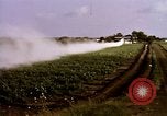 Standbild Landwirtschaft United States USA, 1956, aus Sekunde 51 historischem Filmmaterial Videoclip 65675071648