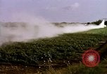 Standbild Landwirtschaft United States USA, 1956, aus Sekunde 52 historischem Filmmaterial Videoclip 65675071648