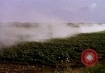 Standbild Landwirtschaft United States USA, 1956, aus Sekunde 53 historischem Filmmaterial Videoclip 65675071648