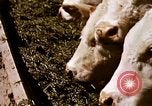 Standbild Landwirtschaft United States USA, 1956, aus Sekunde 59 historischem Filmmaterial Videoclip 65675071648