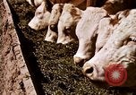 Standbild Landwirtschaft United States USA, 1956, aus Sekunde 61 historischem Filmmaterial Videoclip 65675071648