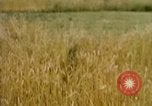 Standbild Landwirtschaft United States USA, 1956, aus Sekunde 14 historischem Filmmaterial Videoclip 65675071649