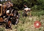 Standbild Landwirtschaft United States USA, 1956, aus Sekunde 30 historischem Filmmaterial Videoclip 65675071649