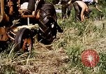 Standbild Landwirtschaft United States USA, 1956, aus Sekunde 32 historischem Filmmaterial Videoclip 65675071649