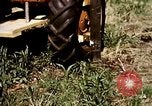 Standbild Landwirtschaft United States USA, 1956, aus Sekunde 36 historischem Filmmaterial Videoclip 65675071649