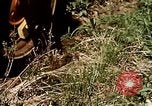 Standbild Landwirtschaft United States USA, 1956, aus Sekunde 39 historischem Filmmaterial Videoclip 65675071649