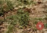 Standbild Landwirtschaft United States USA, 1956, aus Sekunde 41 historischem Filmmaterial Videoclip 65675071649