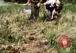 Standbild Landwirtschaft United States USA, 1956, aus Sekunde 42 historischem Filmmaterial Videoclip 65675071649