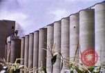 Standbild Landwirtschaft United States USA, 1956, aus Sekunde 26 historischem Filmmaterial Videoclip 65675071650