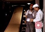 Standbild Landwirtschaft United States USA, 1956, aus Sekunde 38 historischem Filmmaterial Videoclip 65675071650