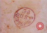 Standbild Landwirtschaft United States USA, 1956, aus Sekunde 46 historischem Filmmaterial Videoclip 65675071650
