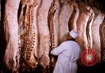 Standbild Landwirtschaft United States USA, 1956, aus Sekunde 48 historischem Filmmaterial Videoclip 65675071650