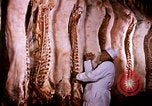 Standbild Landwirtschaft United States USA, 1956, aus Sekunde 51 historischem Filmmaterial Videoclip 65675071650