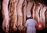 Standbild Landwirtschaft United States USA, 1956, aus Sekunde 52 historischem Filmmaterial Videoclip 65675071650