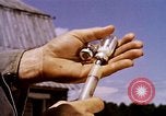 Standbild Landwirtschaft United States USA, 1956, aus Sekunde 55 historischem Filmmaterial Videoclip 65675071650
