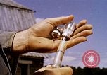 Standbild Landwirtschaft United States USA, 1956, aus Sekunde 56 historischem Filmmaterial Videoclip 65675071650