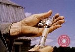 Standbild Landwirtschaft United States USA, 1956, aus Sekunde 57 historischem Filmmaterial Videoclip 65675071650
