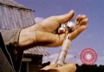 Standbild Landwirtschaft United States USA, 1956, aus Sekunde 58 historischem Filmmaterial Videoclip 65675071650