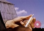 Standbild Landwirtschaft United States USA, 1956, aus Sekunde 60 historischem Filmmaterial Videoclip 65675071650