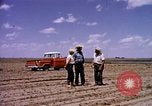 Standbild Landwirtschaft United States USA, 1956, aus Sekunde 3 historischem Filmmaterial Videoclip 65675071651