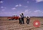 Standbild Landwirtschaft United States USA, 1956, aus Sekunde 4 historischem Filmmaterial Videoclip 65675071651