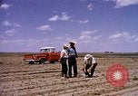 Standbild Landwirtschaft United States USA, 1956, aus Sekunde 5 historischem Filmmaterial Videoclip 65675071651