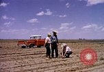 Standbild Landwirtschaft United States USA, 1956, aus Sekunde 6 historischem Filmmaterial Videoclip 65675071651