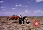 Standbild Landwirtschaft United States USA, 1956, aus Sekunde 7 historischem Filmmaterial Videoclip 65675071651