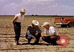 Standbild Landwirtschaft United States USA, 1956, aus Sekunde 10 historischem Filmmaterial Videoclip 65675071651