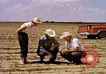 Standbild Landwirtschaft United States USA, 1956, aus Sekunde 11 historischem Filmmaterial Videoclip 65675071651