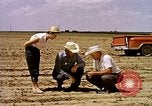 Standbild Landwirtschaft United States USA, 1956, aus Sekunde 12 historischem Filmmaterial Videoclip 65675071651