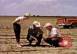 Standbild Landwirtschaft United States USA, 1956, aus Sekunde 13 historischem Filmmaterial Videoclip 65675071651