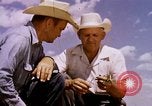 Standbild Landwirtschaft United States USA, 1956, aus Sekunde 14 historischem Filmmaterial Videoclip 65675071651