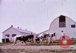Standbild Landwirtschaft United States USA, 1956, aus Sekunde 56 historischem Filmmaterial Videoclip 65675071651