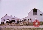 Standbild Landwirtschaft United States USA, 1956, aus Sekunde 57 historischem Filmmaterial Videoclip 65675071651