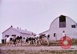 Standbild Landwirtschaft United States USA, 1956, aus Sekunde 58 historischem Filmmaterial Videoclip 65675071651