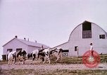 Standbild Landwirtschaft United States USA, 1956, aus Sekunde 59 historischem Filmmaterial Videoclip 65675071651