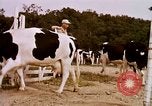 Standbild Landwirtschaft United States USA, 1956, aus Sekunde 62 historischem Filmmaterial Videoclip 65675071651