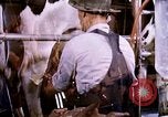 Standbild Ernte Hühner Früchte und vegatables United States USA, 1956, aus Sekunde 1 historischem Filmmaterial Videoclip 65675071652