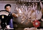 Standbild Ernte Hühner Früchte und vegatables United States USA, 1956, aus Sekunde 3 historischem Filmmaterial Videoclip 65675071652