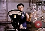 Standbild Ernte Hühner Früchte und vegatables United States USA, 1956, aus Sekunde 6 historischem Filmmaterial Videoclip 65675071652
