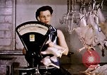 Standbild Ernte Hühner Früchte und vegatables United States USA, 1956, aus Sekunde 10 historischem Filmmaterial Videoclip 65675071652