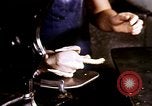 Standbild Ernte Hühner Früchte und vegatables United States USA, 1956, aus Sekunde 15 historischem Filmmaterial Videoclip 65675071652