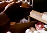 Standbild Ernte Hühner Früchte und vegatables United States USA, 1956, aus Sekunde 23 historischem Filmmaterial Videoclip 65675071652