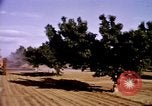 Standbild Ernte Hühner Früchte und vegatables United States USA, 1956, aus Sekunde 37 historischem Filmmaterial Videoclip 65675071652