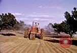 Standbild Ernte Hühner Früchte und vegatables United States USA, 1956, aus Sekunde 39 historischem Filmmaterial Videoclip 65675071652